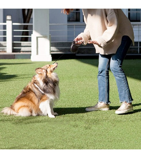 Orange leash hotsell